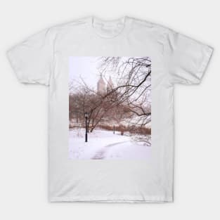 New York Winter 2 T-Shirt